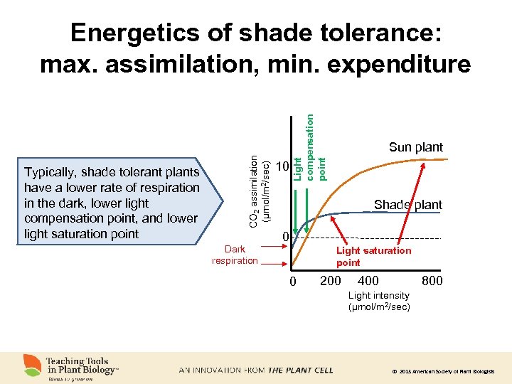 Dark respiration 10 Light compensation point Typically, shade tolerant plants have a lower rate