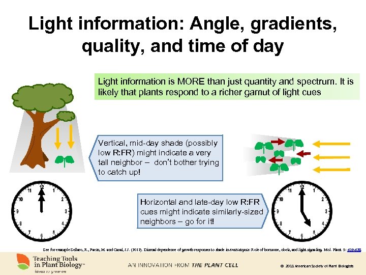 Light information: Angle, gradients, quality, and time of day Light information is MORE than