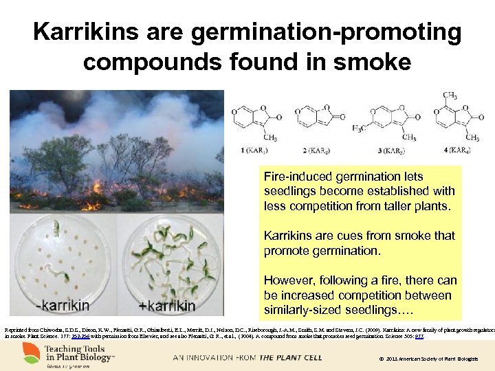 Karrikins are germination-promoting compounds found in smoke Fire-induced germination lets seedlings become established with