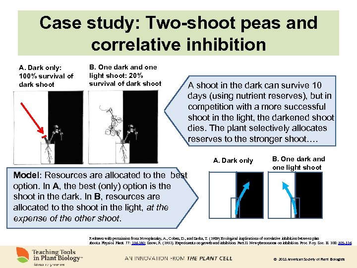 Case study: Two-shoot peas and correlative inhibition A. Dark only: 100% survival of dark