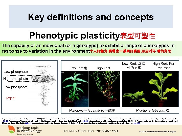 Key definitions and concepts Phenotypic plasticity表型可塑性 The capacity of an individual (or a genotype)