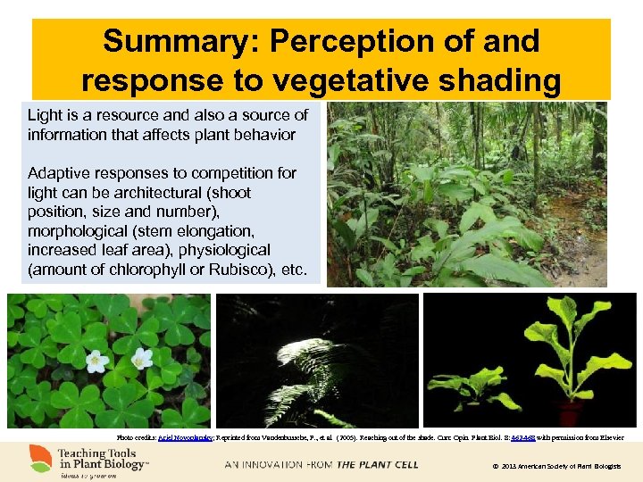 Summary: Perception of and response to vegetative shading Light is a resource and also