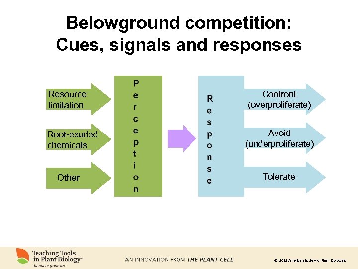 Belowground competition: Cues, signals and responses Resource limitation Confront (overproliferate) Root-exuded chemicals Avoid (underproliferate)