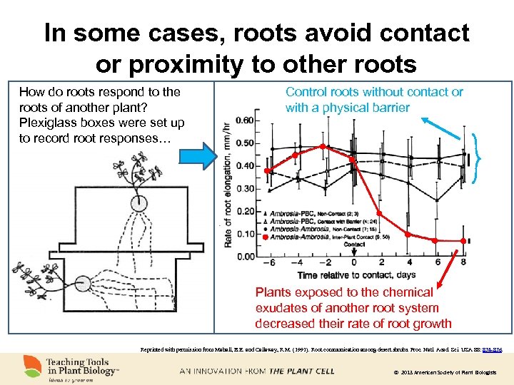 In some cases, roots avoid contact or proximity to other roots How do roots