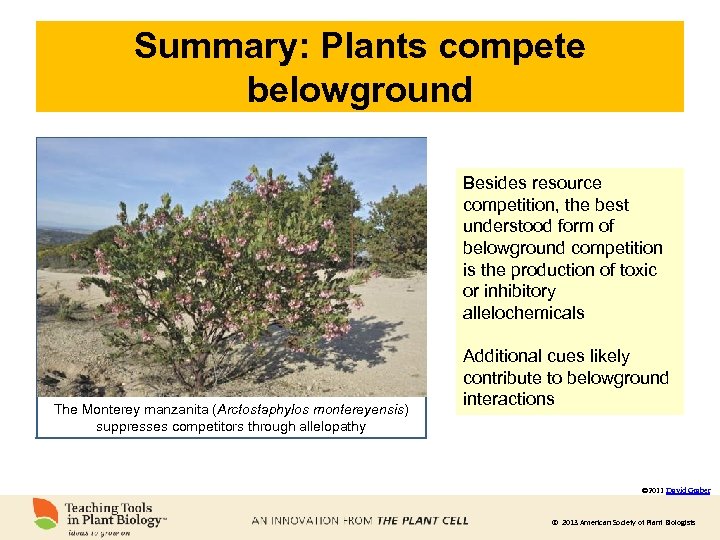Summary: Plants compete belowground Besides resource competition, the best understood form of belowground competition