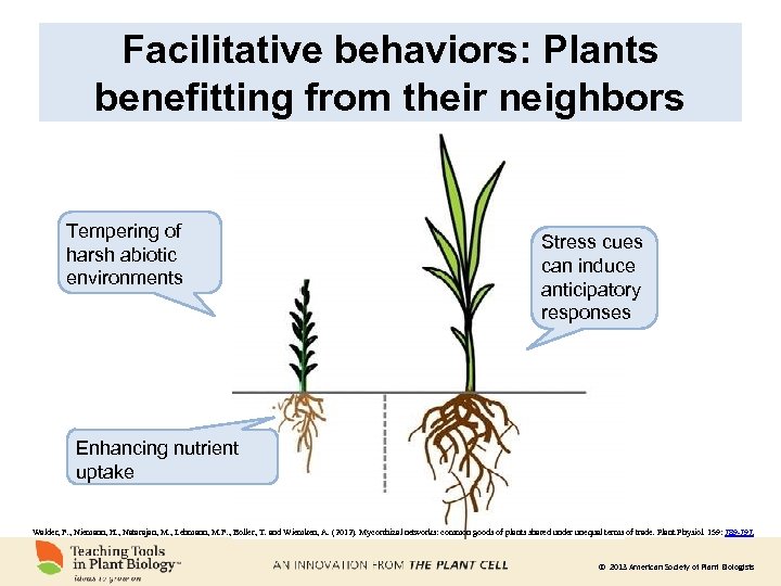 Facilitative behaviors: Plants benefitting from their neighbors Tempering of harsh abiotic environments Stress cues