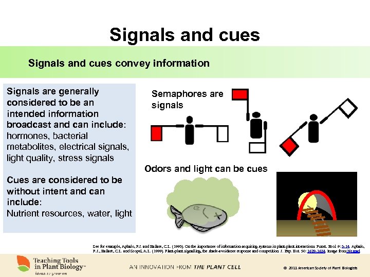 Signals and cues convey information Signals are generally considered to be an intended information