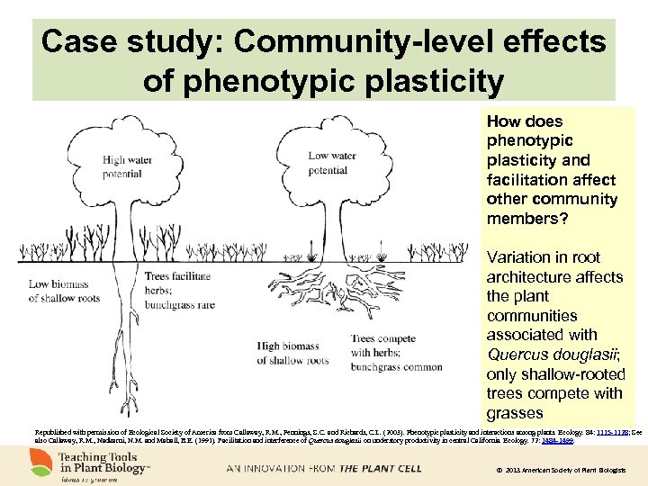 Case study: Community-level effects of phenotypic plasticity How does phenotypic plasticity and facilitation affect