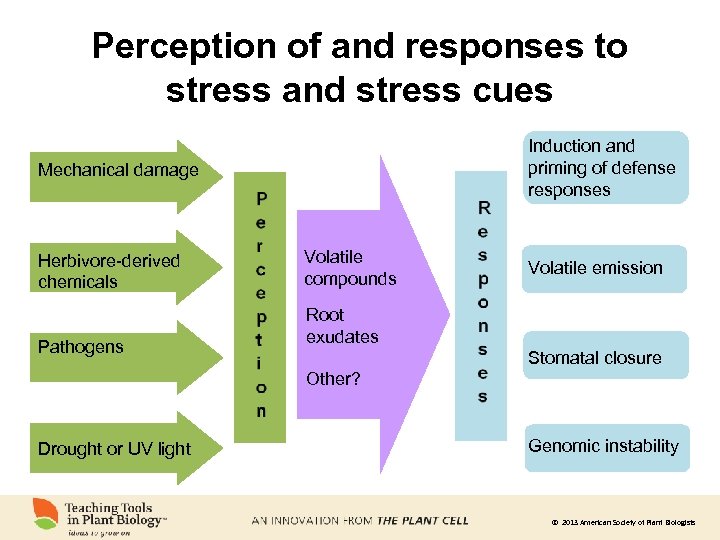 Perception of and responses to stress and stress cues Induction and priming of defense