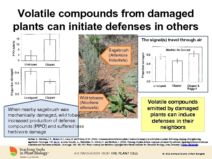 Volatile compounds from damaged plants can initiate defenses in others The signal(s) travel through