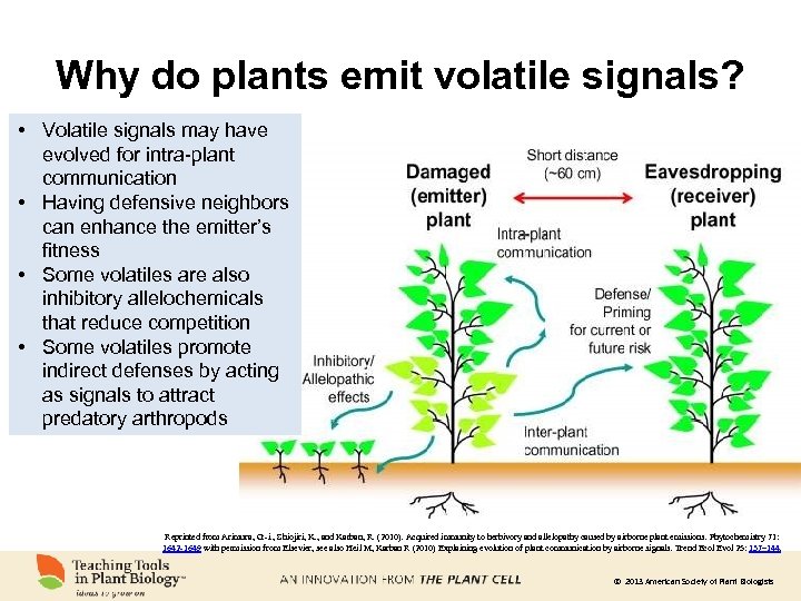 Why do plants emit volatile signals? • Volatile signals may have evolved for intra-plant