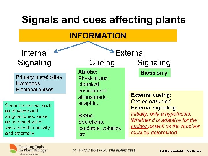 Signals and cues affecting plants INFORMATION Internal Signaling Primary metabolites Hormones Electrical pulses Some