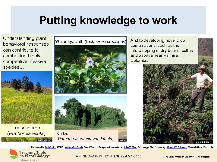 Putting knowledge to work Understanding plant behavioral responses can contribute to combatting highly competitive