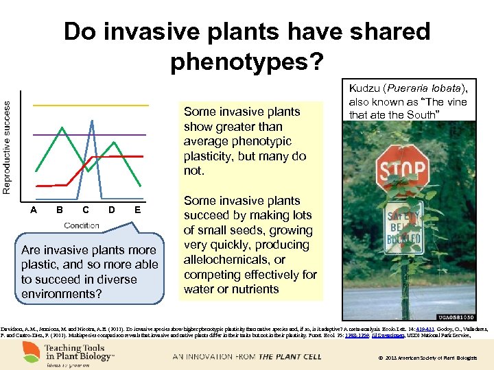 Do invasive plants have shared phenotypes? Some invasive plants show greater than average phenotypic