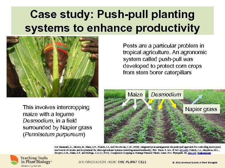 Case study: Push-pull planting systems to enhance productivity Pests are a particular problem in
