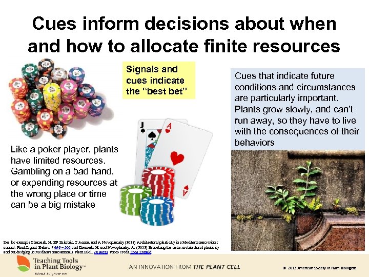 Cues inform decisions about when and how to allocate finite resources Signals and cues