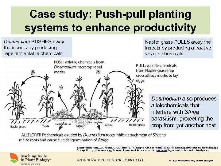 Case study: Push-pull planting systems to enhance productivity Desmodium PUSHES away the insects by