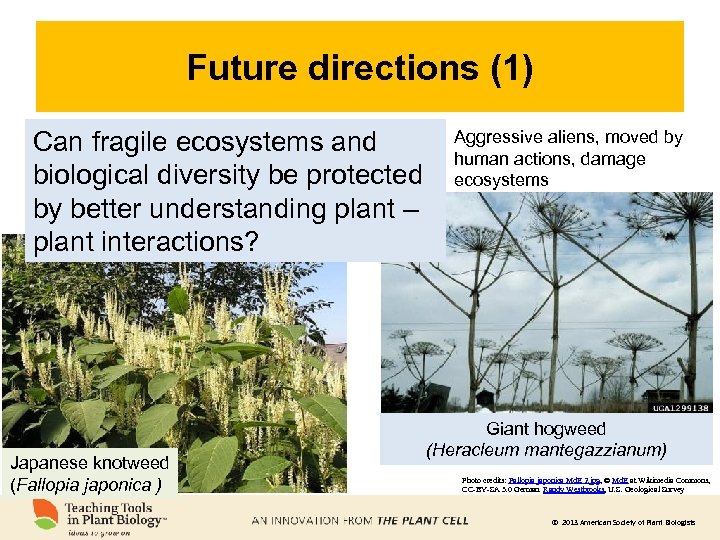 Future directions (1) Can fragile ecosystems and biological diversity be protected by better understanding