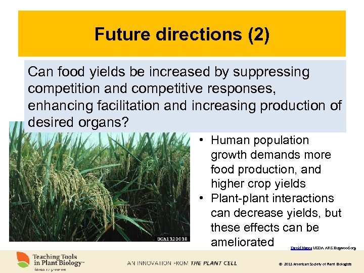 Future directions (2) Can food yields be increased by suppressing competition and competitive responses,
