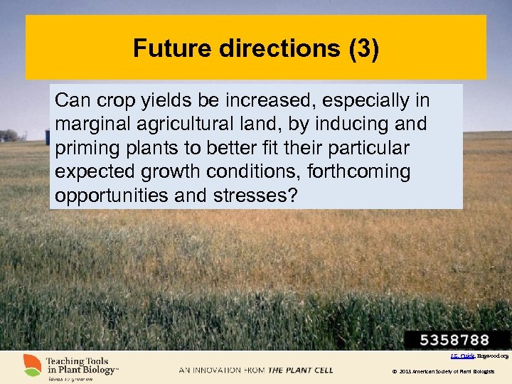 Future directions (3) Can crop yields be increased, especially in marginal agricultural land, by