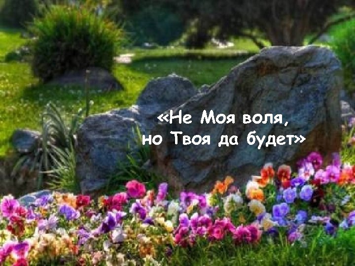  «Не Моя воля, но Твоя да будет» 