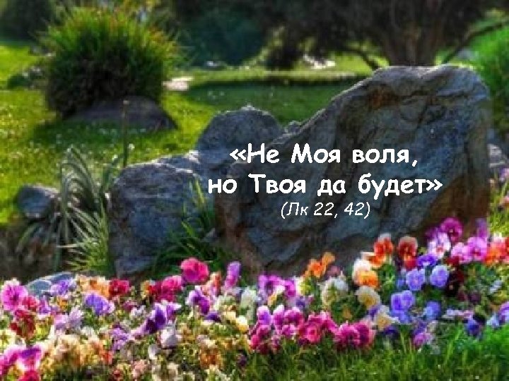 «Не Моя воля, но Твоя да будет» (Лк 22, 42) 
