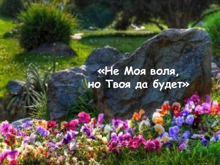  «Не Моя воля, но Твоя да будет» 