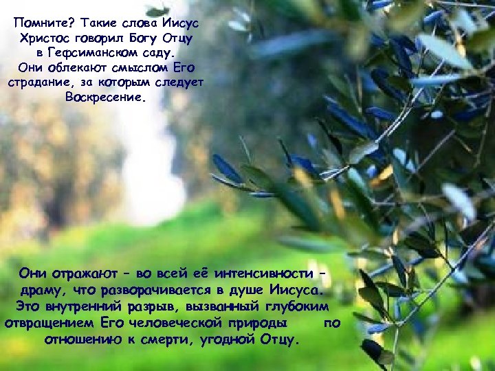 Помните? Такие слова Иисус Христос говорил Богу Отцу в Гефсиманском саду. Они облекают смыслом