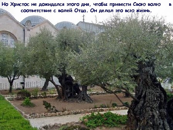 Но Христос не дожидался этого дня, чтобы привести Свою волю соответствие с волей Отца.