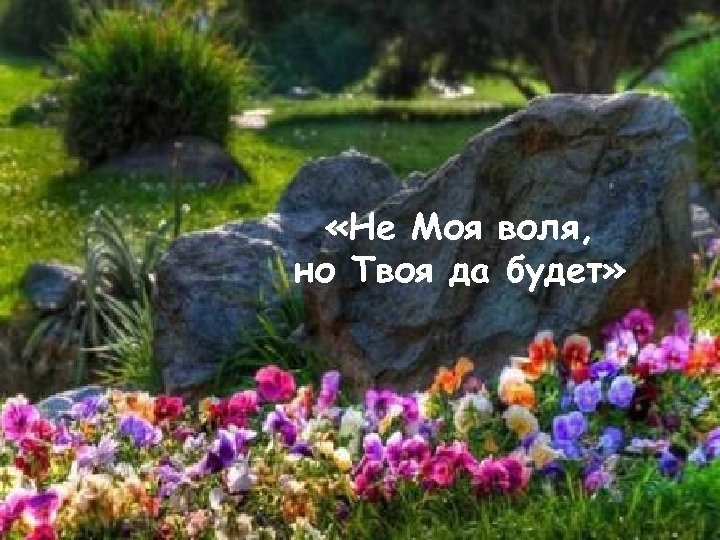  «Не Моя воля, но Твоя да будет» 