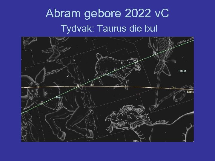 Abram gebore 2022 v. C Tydvak: Taurus die bul 