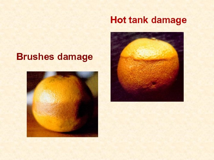 Hot tank damage Brushes damage 