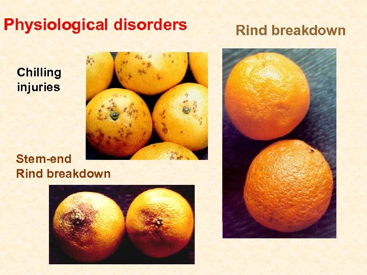 Physiological disorders Chilling injuries Stem-end Rind breakdown 