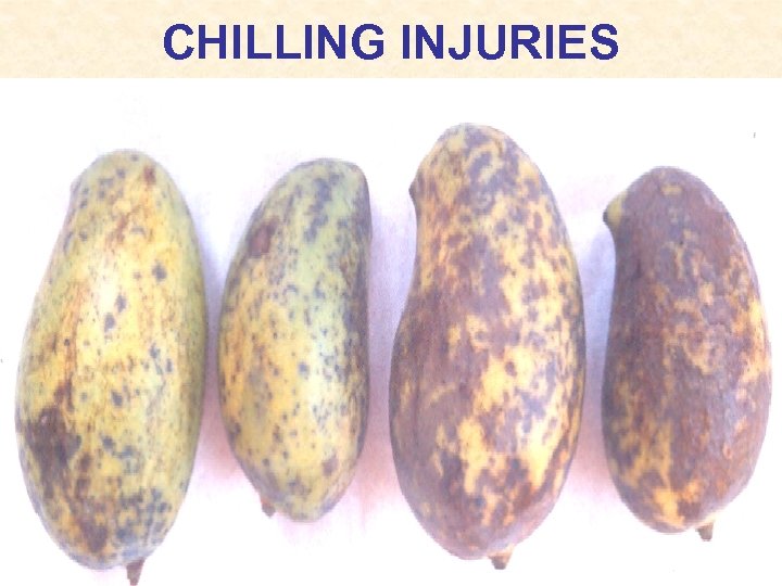 CHILLING INJURIES 