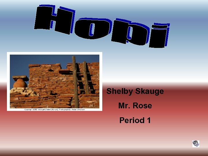 Shelby Skauge Mr. Rose Period 1 