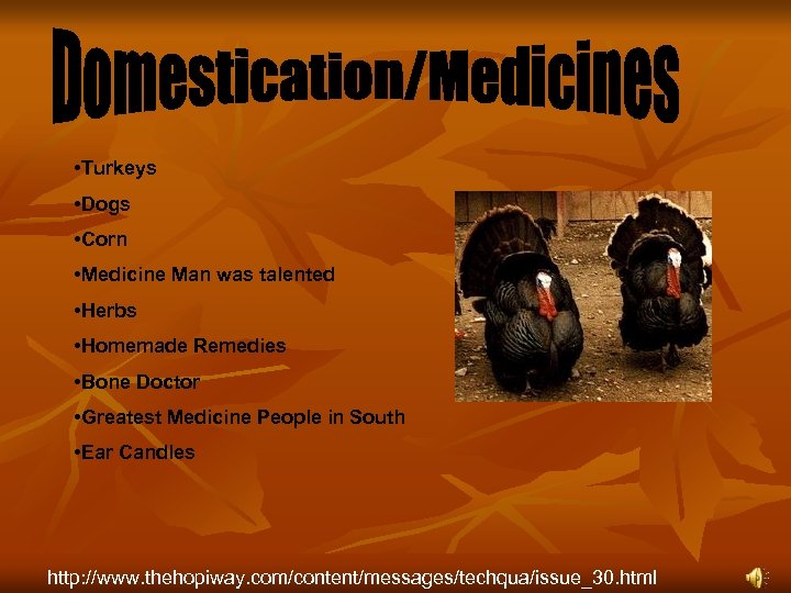  • Turkeys • Dogs • Corn • Medicine Man was talented • Herbs