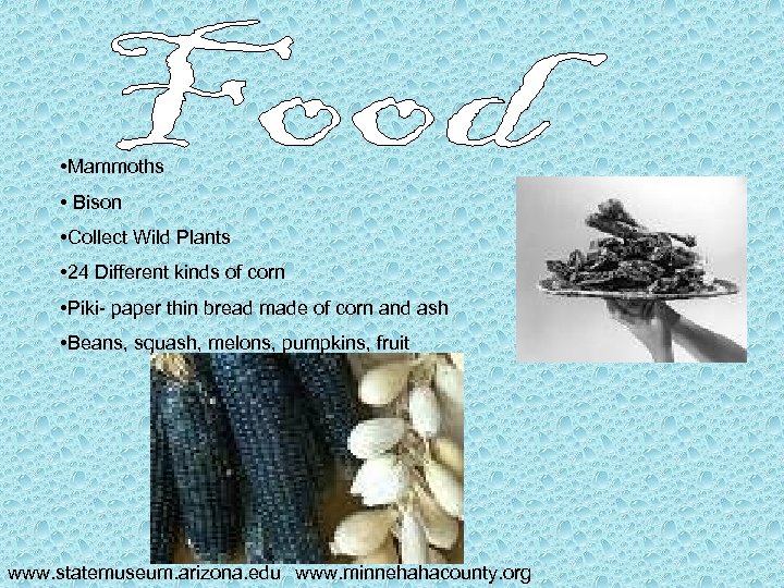  • Mammoths • Bison • Collect Wild Plants • 24 Different kinds of