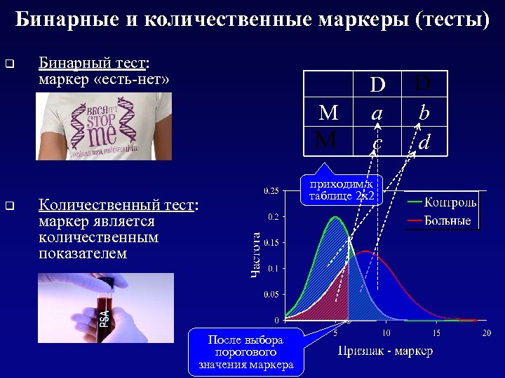 Бинарные и количественные маркеры (тесты) q Бинарный тест: маркер «есть-нет» M q Количественный тест: