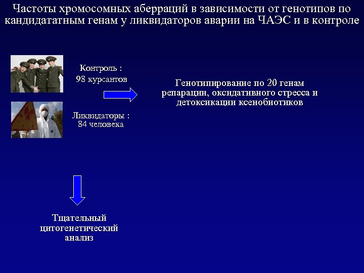 Частоты хромосомных аберраций в зависимости от генотипов по кандидататным генам у ликвидаторов аварии на