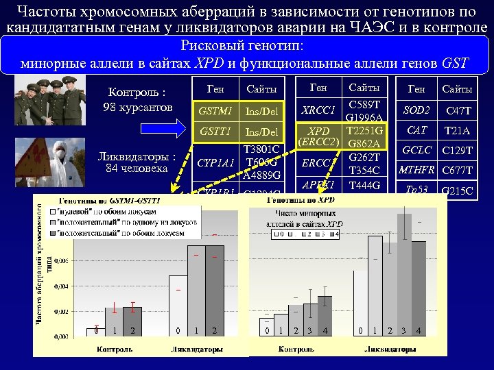 Частоты хромосомных аберраций в зависимости от генотипов по кандидататным генам у ликвидаторов аварии на