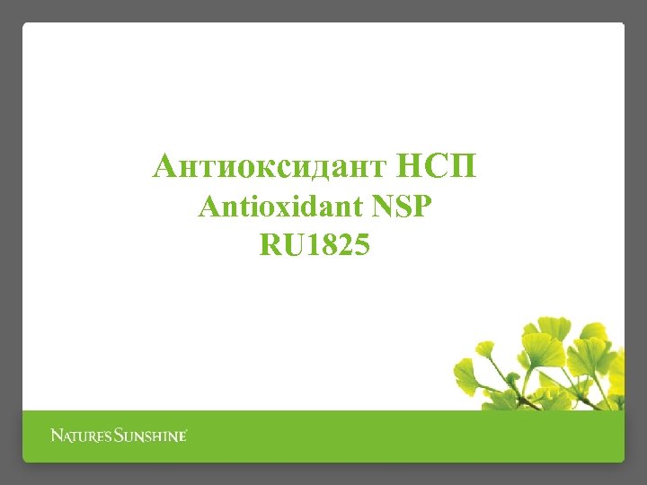 Антиоксидант НСП Antioxidant NSP RU 1825 