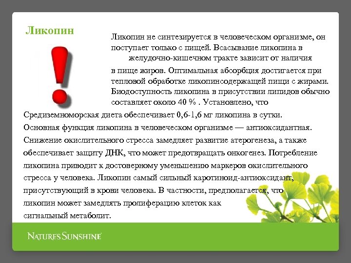 Ликопин не синтезируется в человеческом организме, он поступает только с пищей. Всасывание ликопина в
