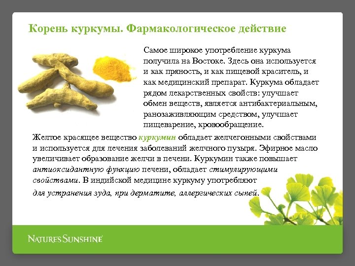 Корень куркумы. Фармакологическое действие Самое широкое употребление куркума получила на Востоке. Здесь она используется