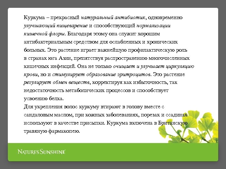 Куркума – прекрасный натуральный антибиотик, одновременно улучшающий пищеварение и способствующий нормализации кишечной флоры. Благодаря