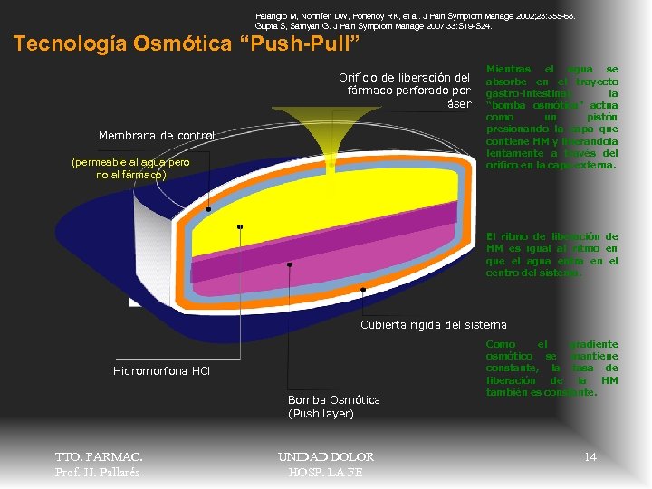Palangio M, Northfelt DW, Portenoy RK, et al. J Pain Symptom Manage 2002; 23: