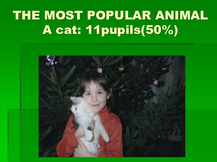 THE MOST POPULAR ANIMAL A cat: 11 pupils(50%) 