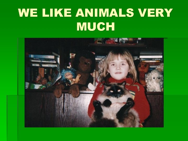 WE LIKE ANIMALS VERY MUCH 