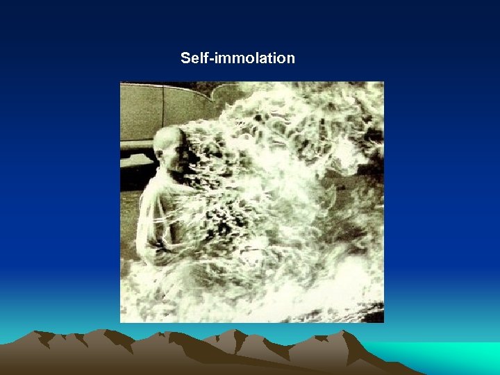 Self-immolation 