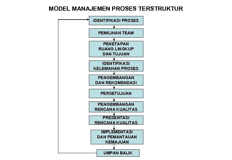 MODEL MANAJEMEN PROSES TERSTRUKTUR IDENTIFIKASI PROSES PEMILIHAN TEAM PENETAPAN RUANG LINGKUP DAN TUJUAN IDENTIFIKASI