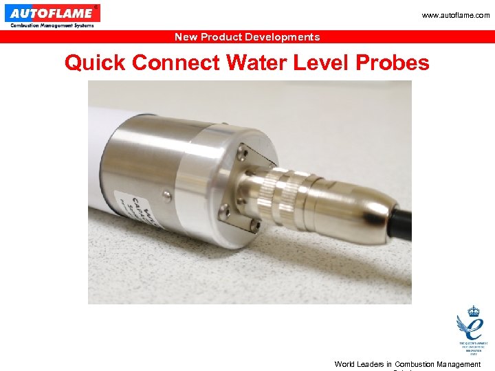 www. autoflame. com New Product Developments Quick Connect Water Level Probes World Leaders in